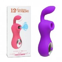 Clitoral Stimulator with 2 motors Silicone Rechargeable 12 Speeds PURPLE